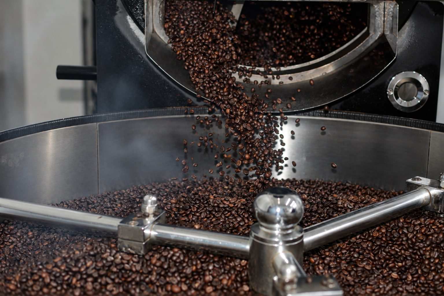 torrefaction-cafe-abitibi-torrefacteur-sans-frontiere Grains de café fraîchement torréfiés tombant dans le bac de refroidissement du torréfacteur de Torréfacteur sans frontière à Malartic, en Abitibi-Témiscamingue